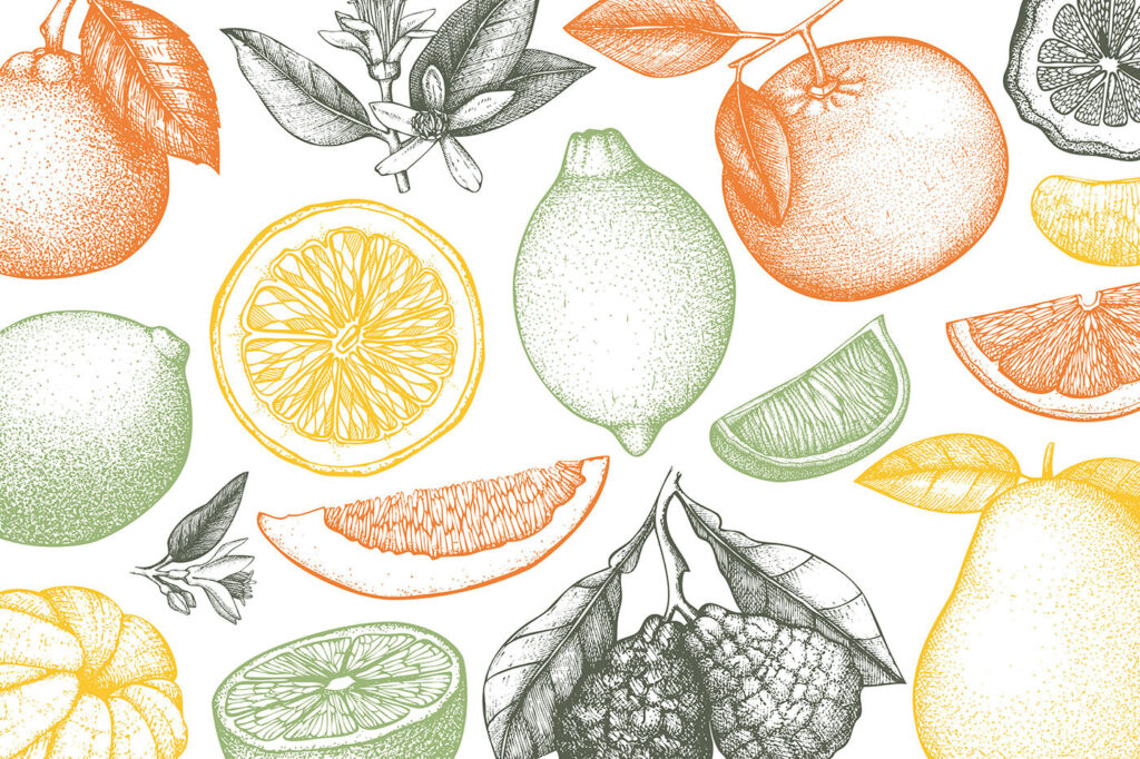 Um padrão de frutos diferentes Um padrão de frutos diferentes