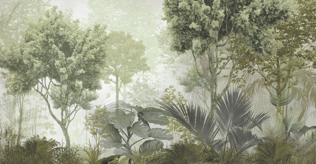 Um grupo de árvores e plantas numa floresta com nevoeiro Um grupo de árvores e plantas numa floresta com nevoeiro