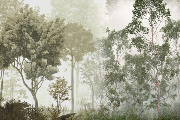 Um grupo de árvores numa floresta com nevoeiro Um grupo de árvores numa floresta com nevoeiro