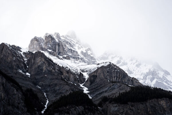 Uma montanha de neve com árvores Uma montanha de neve com árvores