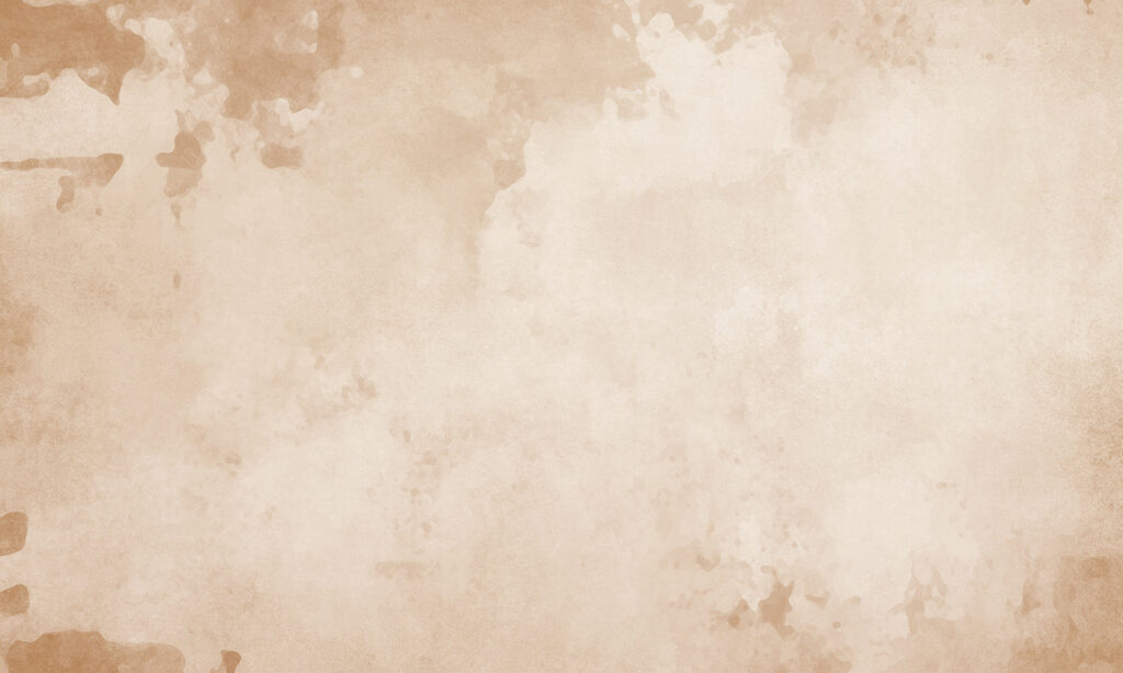 Fundo branco e castanho Fundo branco e castanho