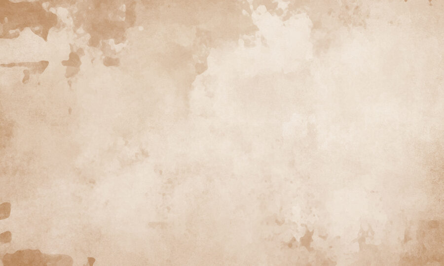 Fundo branco e castanho