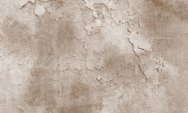 Superfície texturada com tons naturais. Superfície texturada com tons naturais.