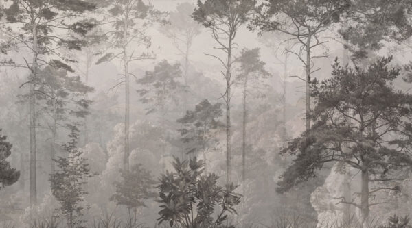 Floresta com árvores e montanhas Floresta com árvores e montanhas
