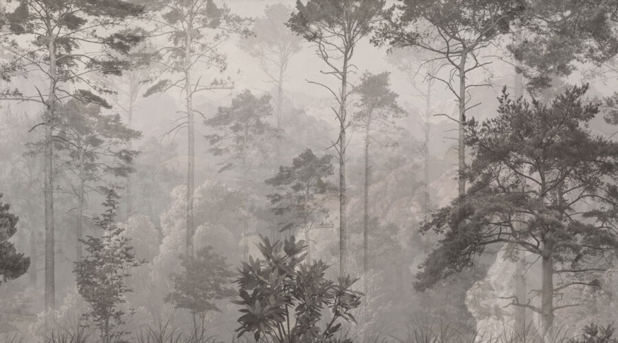 Floresta com árvores e montanhas Floresta com árvores e montanhas