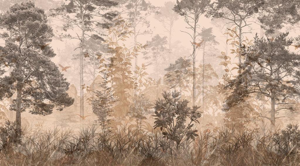Floresta com árvores e plantas Floresta com árvores e plantas