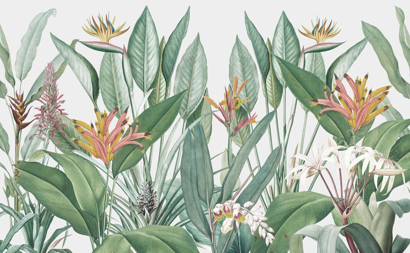 Vibrant tropical foliage in harmony