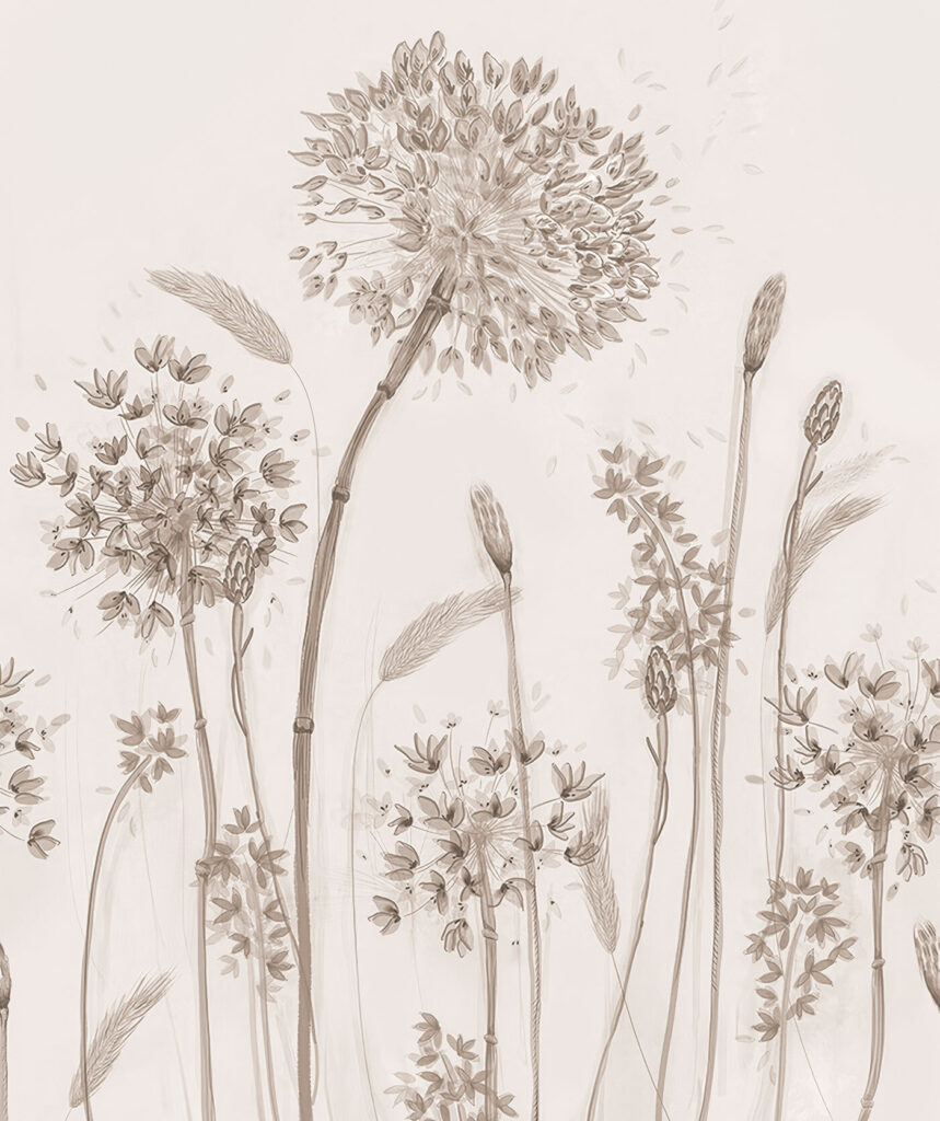 Desenho de uma flor Desenho de uma flor