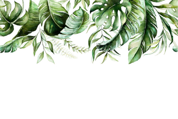 Fileira de folhas verdes Fileira de folhas verdes