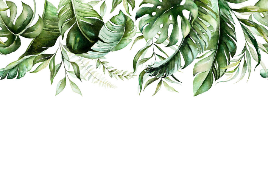 Fileira de folhas verdes