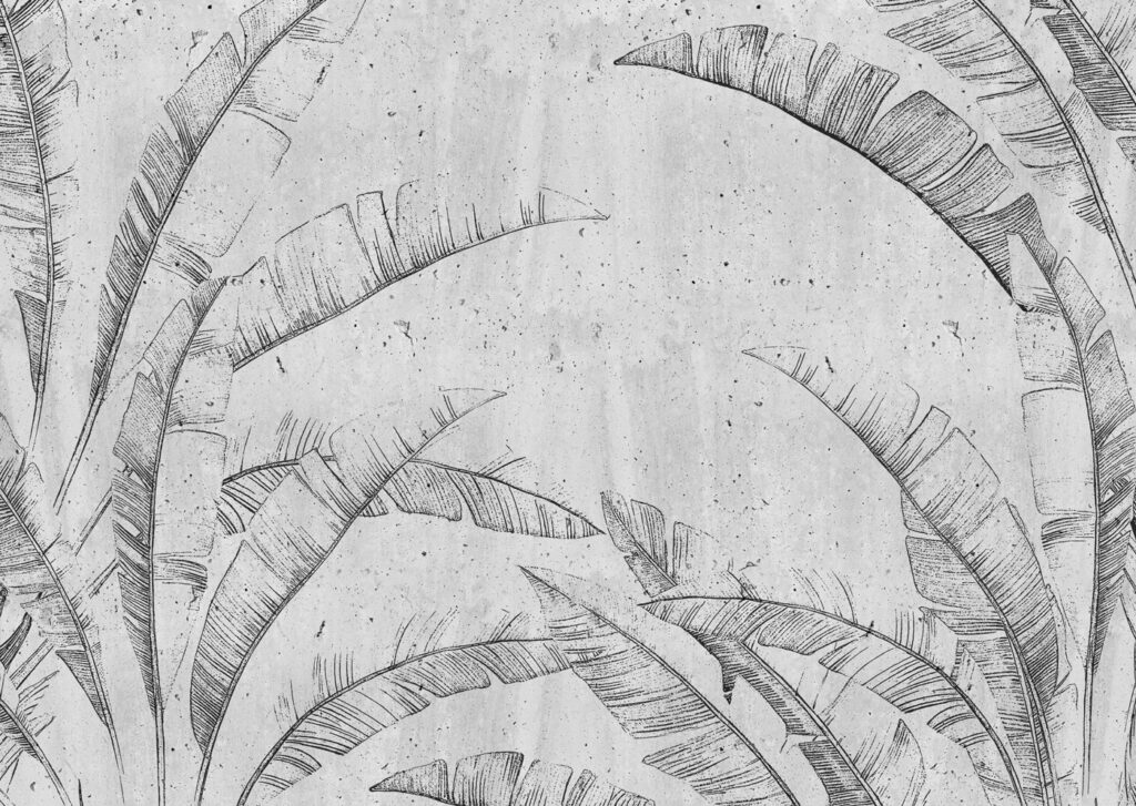 Desenho de uma folha Desenho de uma folha
