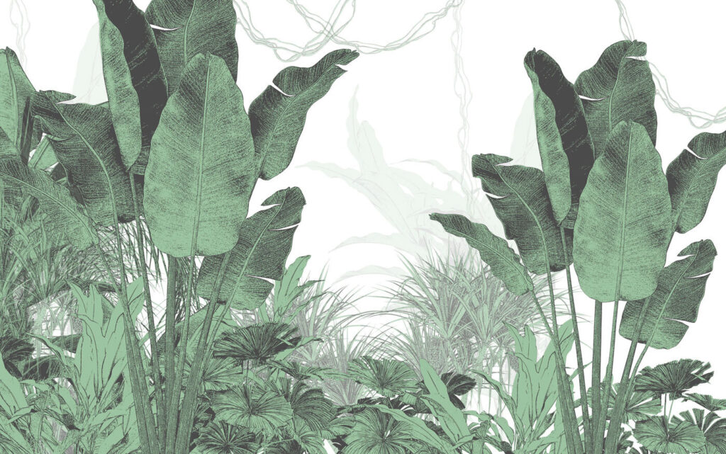 Grupo de plantas com folhas Grupo de plantas com folhas