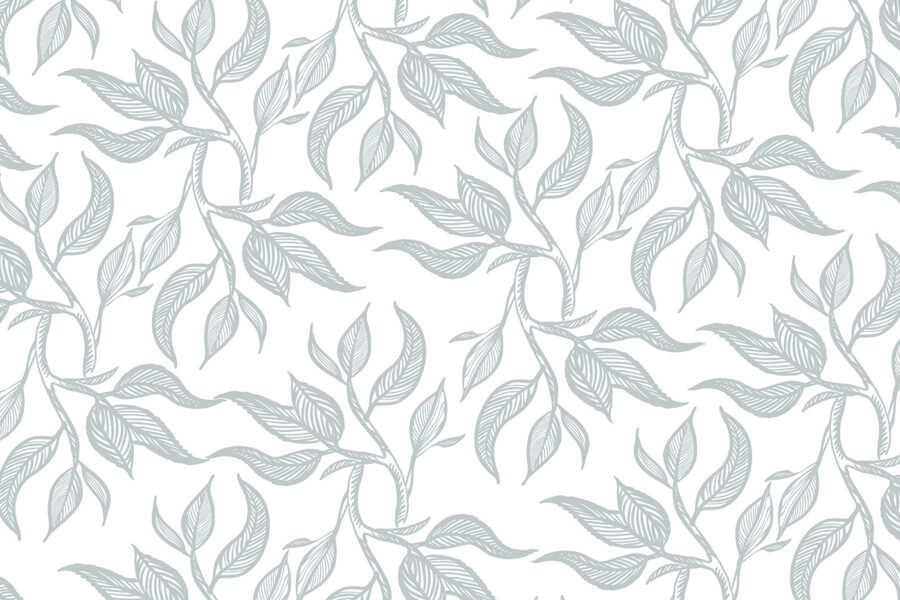 Padrão de folhas sobre um fundo branco