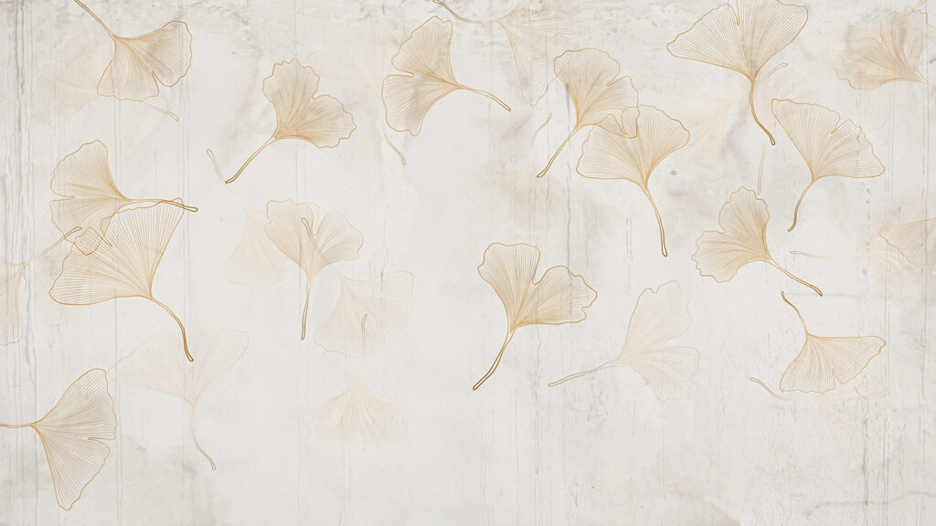 Delicadas folhas de ginkgo num cenário sereno. Delicadas folhas de ginkgo num cenário sereno.
