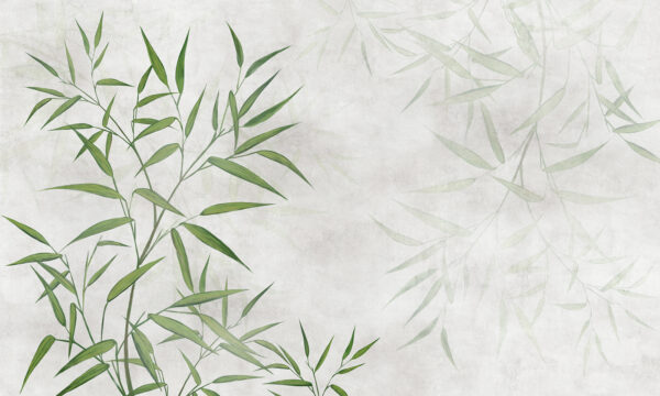 Folhas verdes sobre um fundo branco Folhas verdes sobre um fundo branco