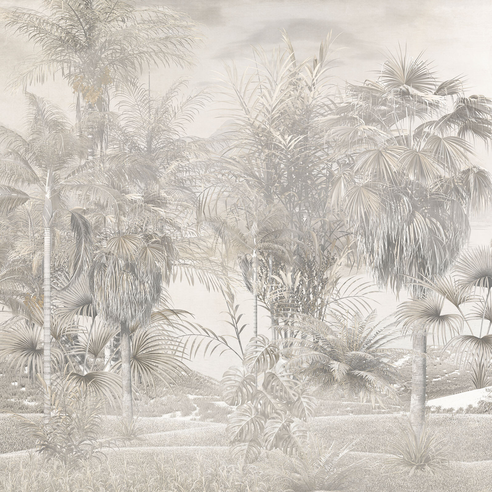 Group of palm trees Group of palm trees