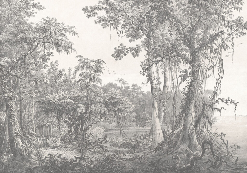 Desenho de árvores e plantas u95795p 1024x717 - Desenho de árvores e plantas