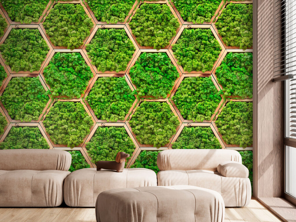 Wall of plants in hexagons