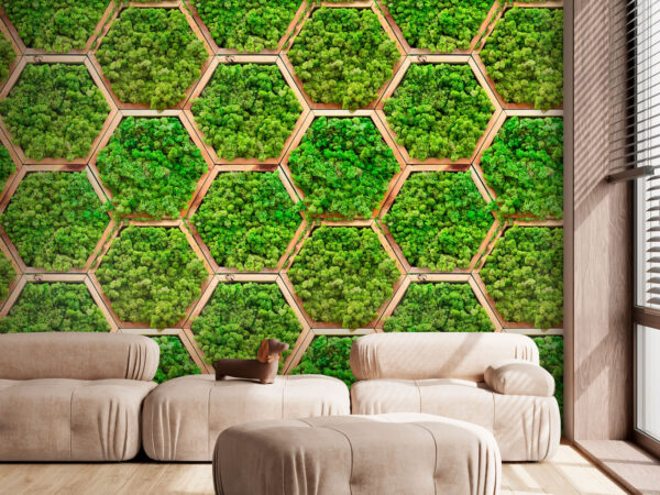 Parede de plantas em hexágonos Parede de plantas em hexágonos