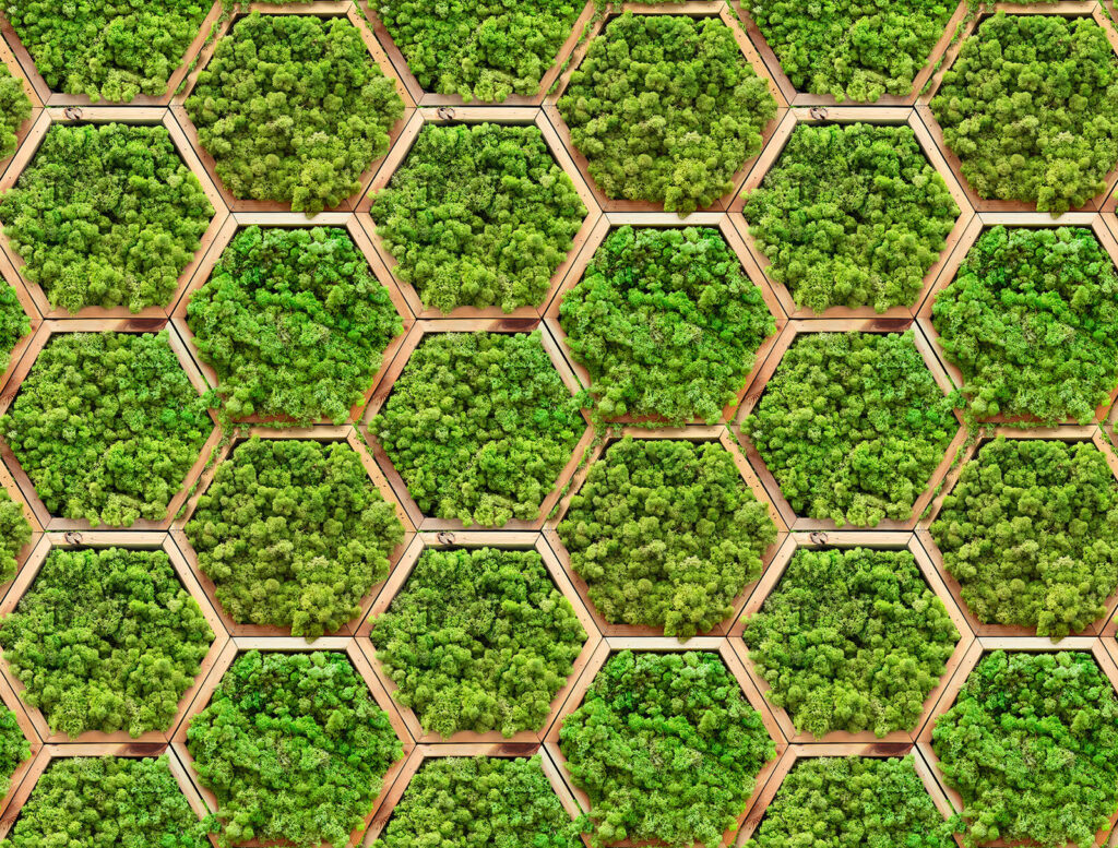 Parede de plantas em hexágonos Parede de plantas em hexágonos
