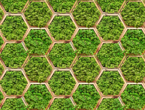 Parede de plantas em hexágonos Parede de plantas em hexágonos