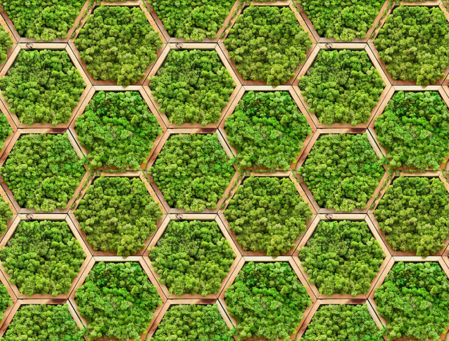 Parede de plantas em hexágonos