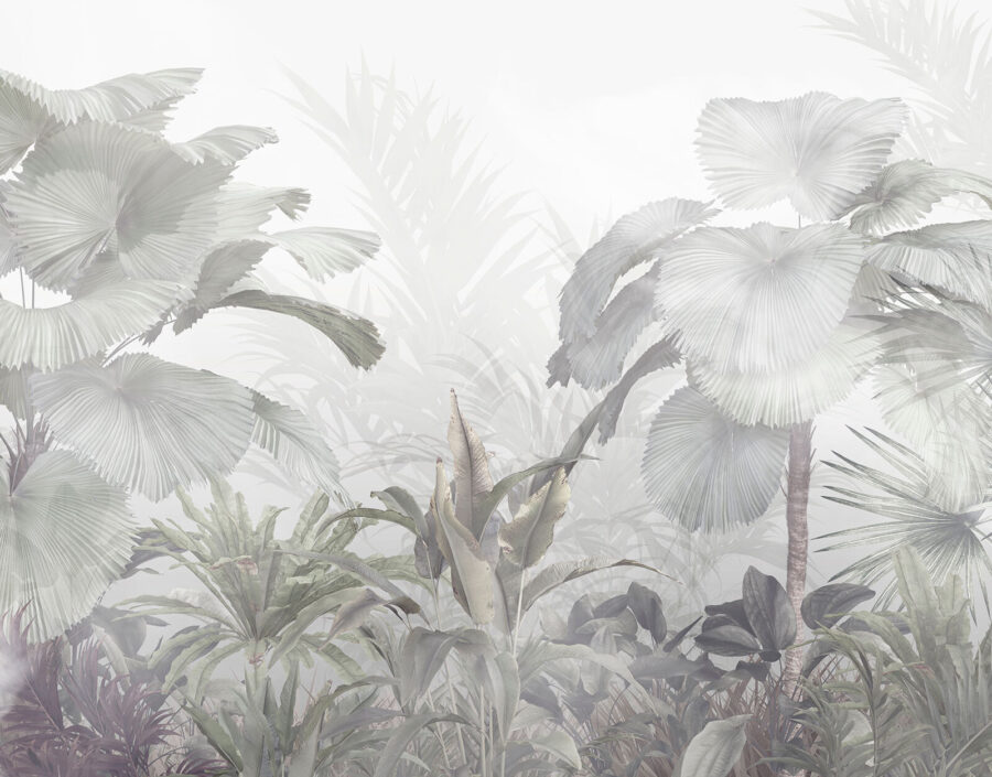 Grupo de plantas numa floresta com nevoeiro