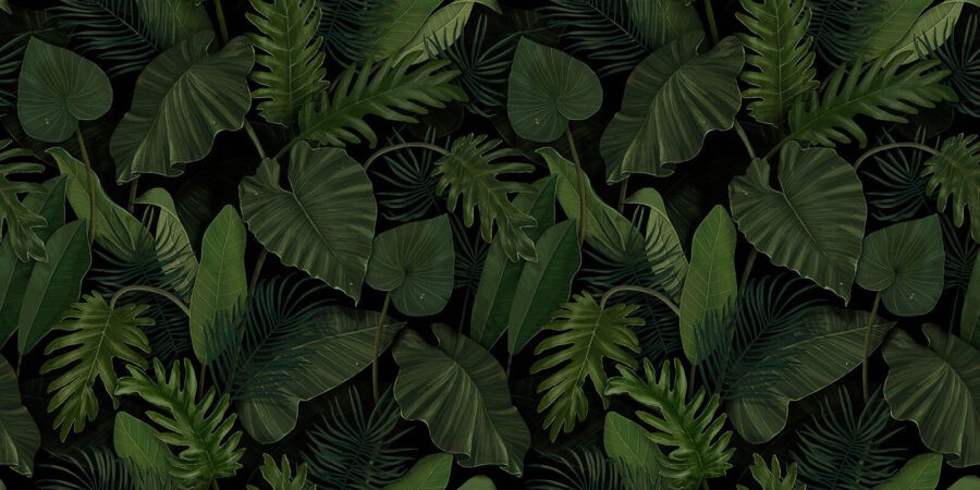 Padrão de folhas verdes