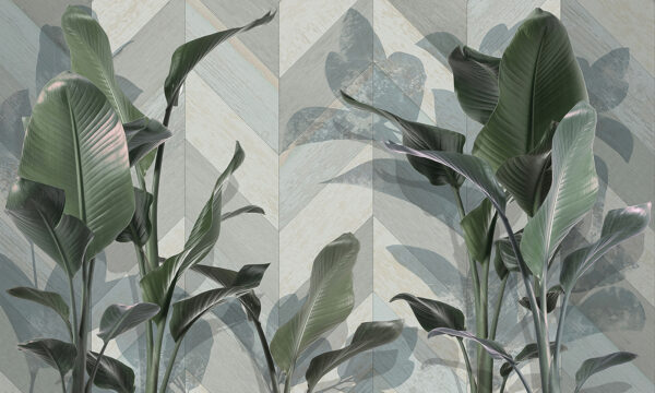 Planta com folhas Planta com folhas