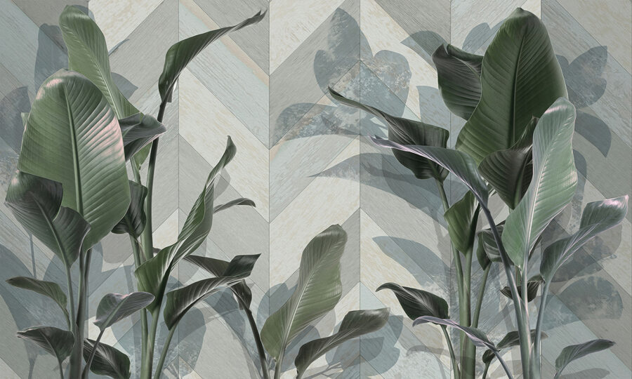 Planta com folhas Planta com folhas
