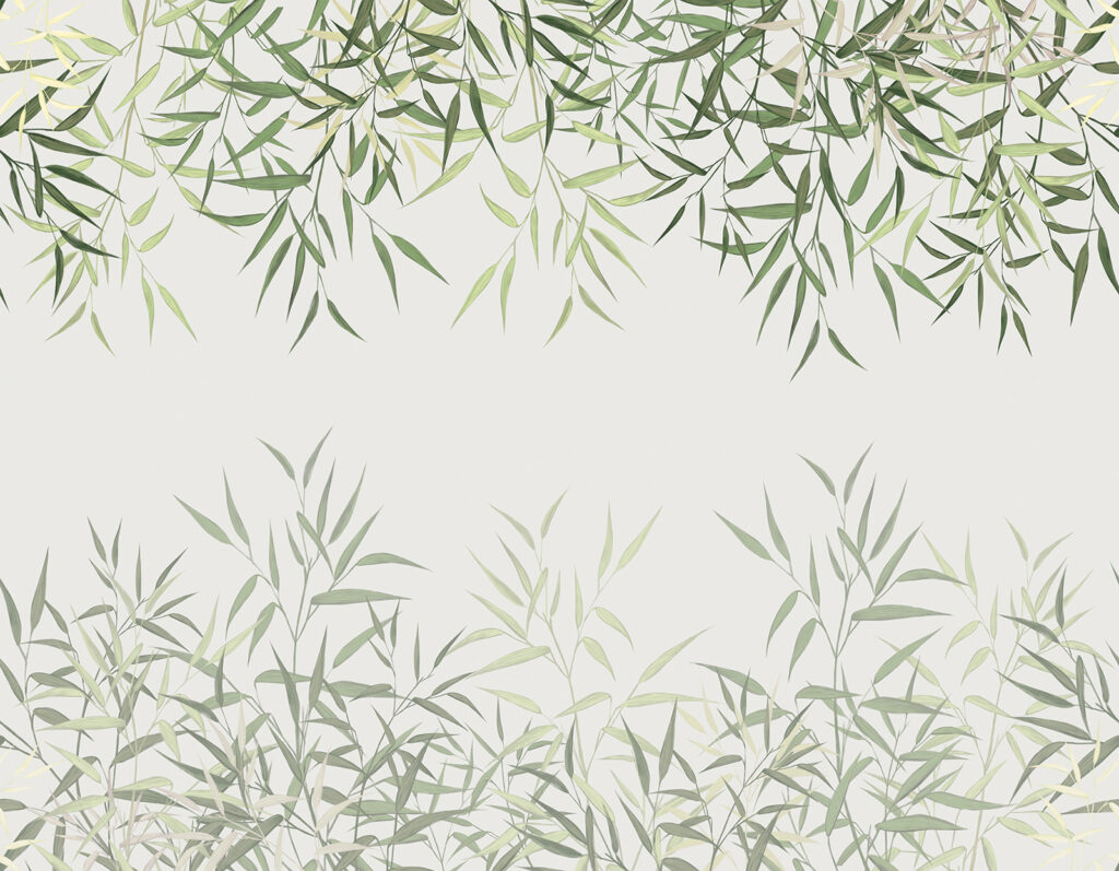 Delicadas folhas de bambu num fundo suave. Delicadas folhas de bambu num fundo suave.