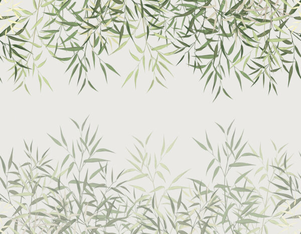 Delicadas folhas de bambu num fundo suave. Delicadas folhas de bambu num fundo suave.