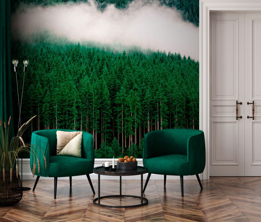 Uma floresta de árvores com nevoeiro Uma floresta de árvores com nevoeiro