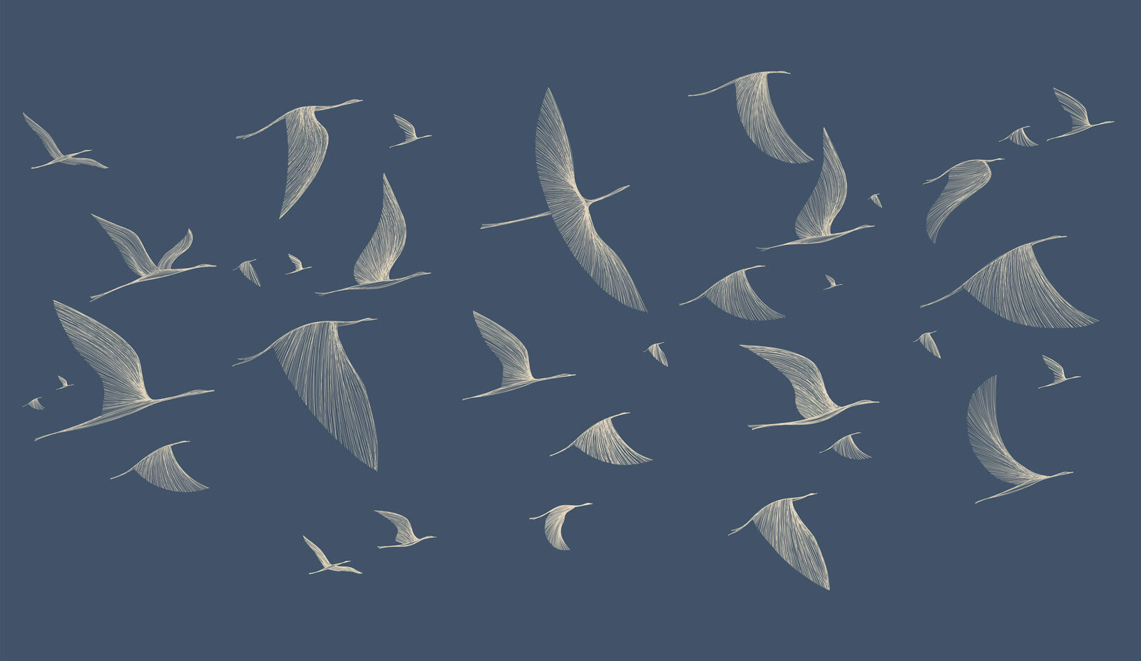 Group of birds flying