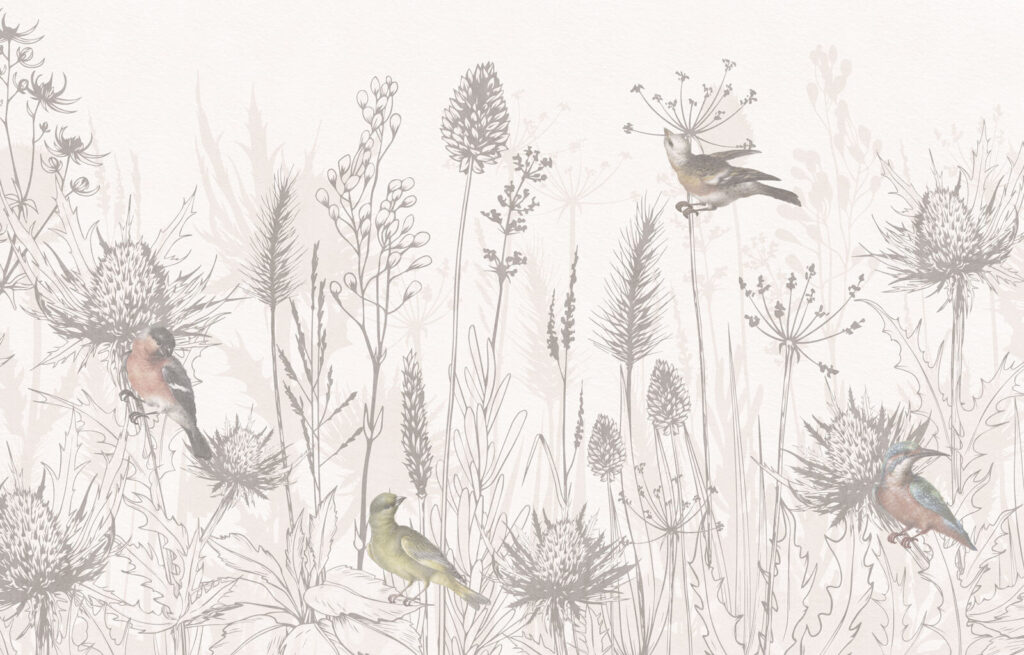 Desenho de aves e plantas Desenho de aves e plantas