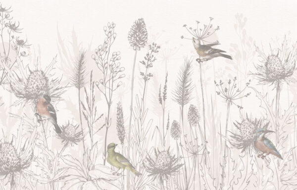Desenho de aves e plantas Desenho de aves e plantas