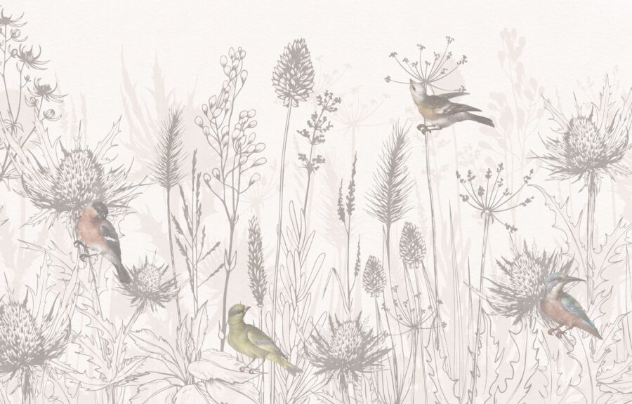 Desenho de aves e plantas