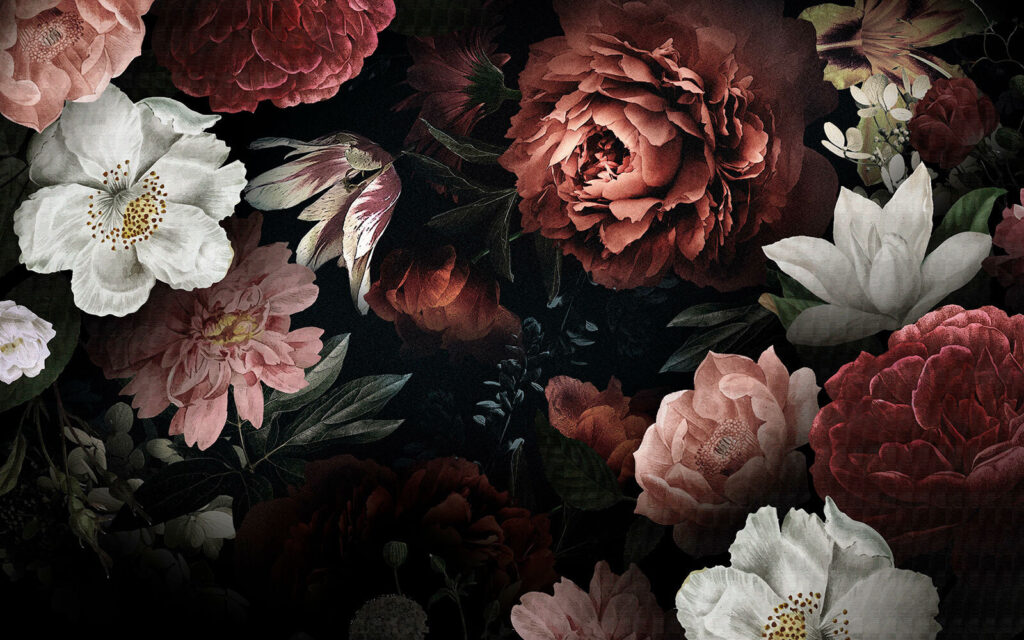 Flores elegantes num fundo escuro. Flores elegantes num fundo escuro.