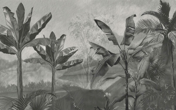 Imagem a preto e branco de uma floresta tropical Imagem a preto e branco de uma floresta tropical