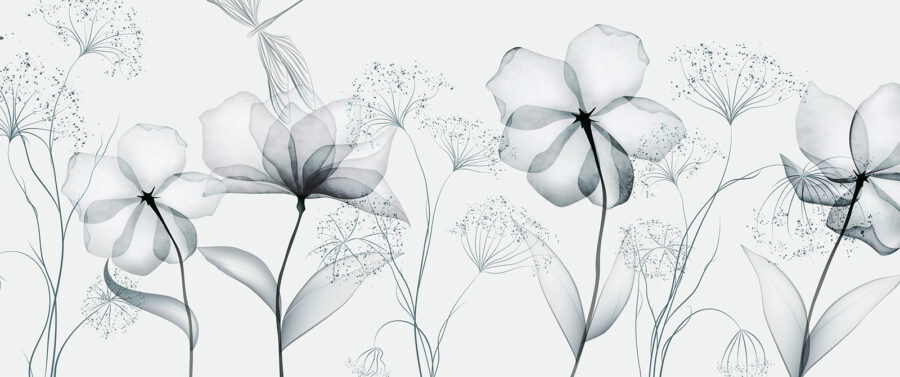 Flores transparentes com folhas