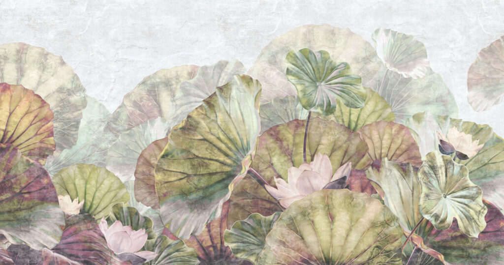 Folhas e flores delicadas de nenúfar. Folhas e flores delicadas de nenúfar.