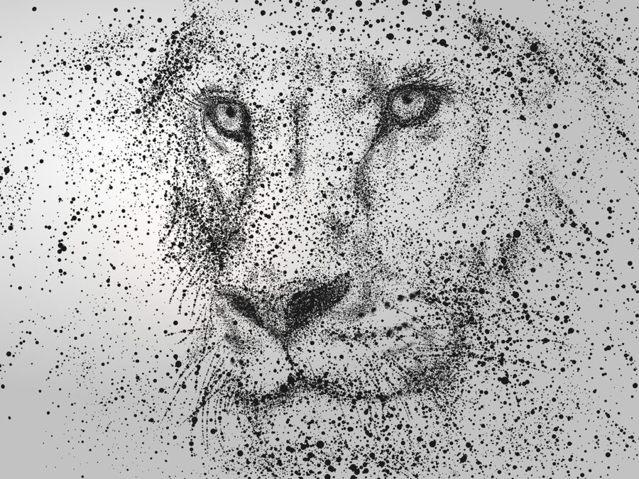 Cara de leão com manchas pretas