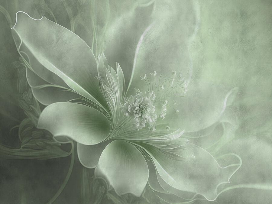 Beleza floral delicada em tons suaves.