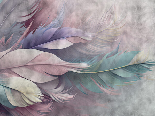 Group of feathers on a white background