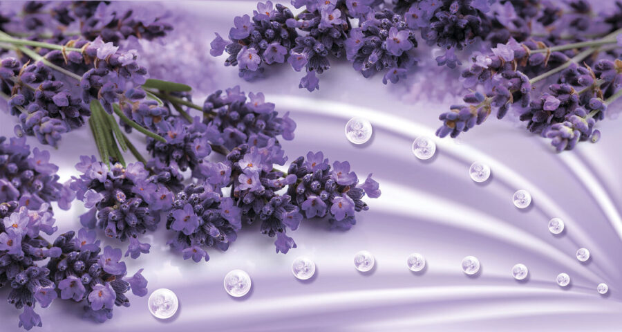 Papel de parede Flores de lavanda em tons suaves de lavanda - Image 4