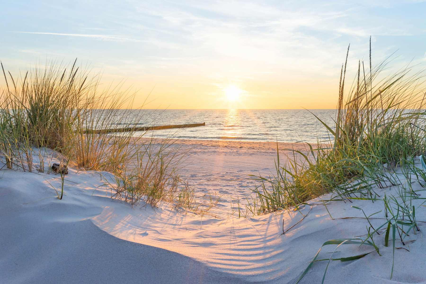 Beach with grass and a body of water