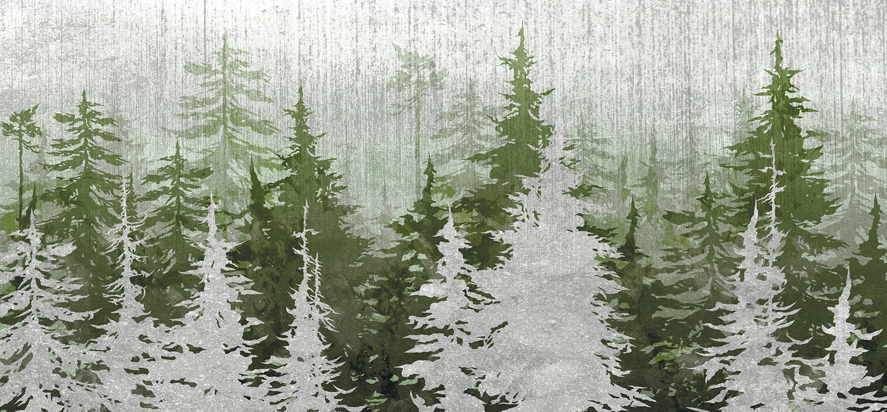 u93516p - Grupo de árvores numa floresta - tegory