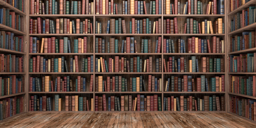 Estante grande com muitos livros