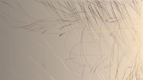 Linhas abstractas sobre um fundo suave. Linhas abstractas sobre um fundo suave.