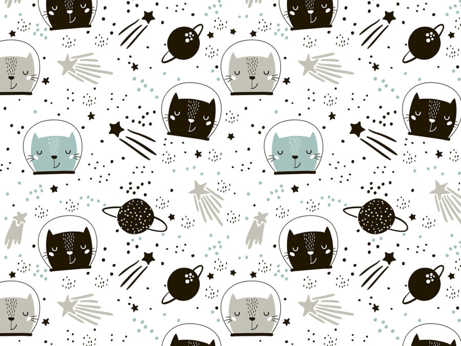 Padrão de gatos no espaço